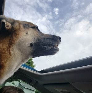 Meet your Posher, Nina